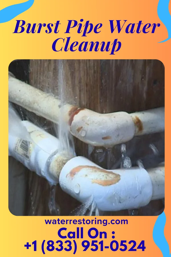 Burst Pipe Water Cleanup in Burkettsville, OH