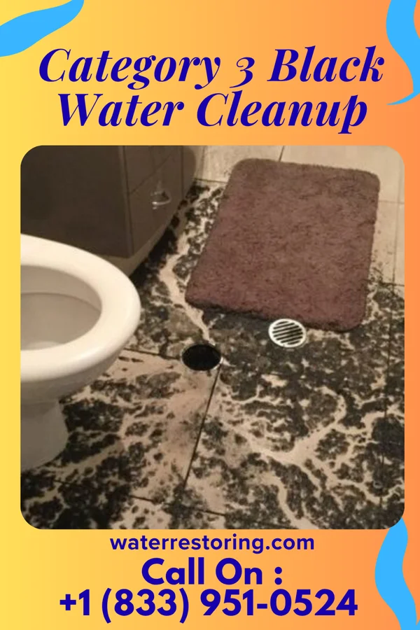 Category 3 Black Water Cleanup in Burkettsville, OH