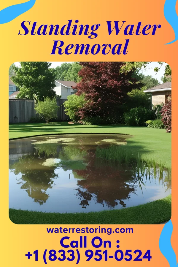 Standing Water Removal in Burkettsville, OH
